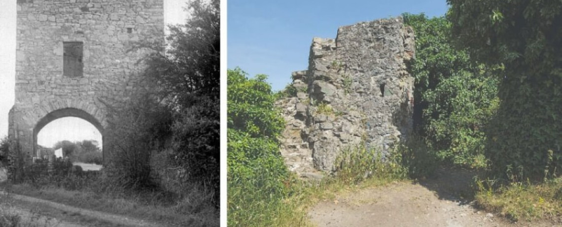 Ballymount Castle photo by Echo.ie