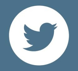 Twitter logo in white