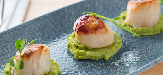 Tom's Table - Galley Head King Scallops on pea puree port and balsamic reduction